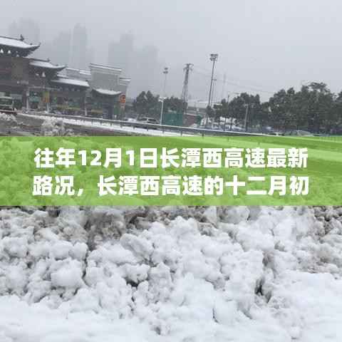 花开无言 第4页