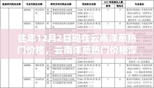 云南洋葱热门价格解析,深度探讨、特性体验、竞品对比与目标用户分析