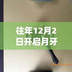 揭秘高效便捷的开锁新工具,月牙锁开启新篇章