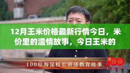 今日王米价格揭秘,温情故事与友情日常中的秘密行情