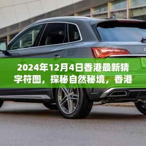香港猜字符图之旅,探秘自然秘境,寻找内心的宁静与平和(2024年12月4日最新)
