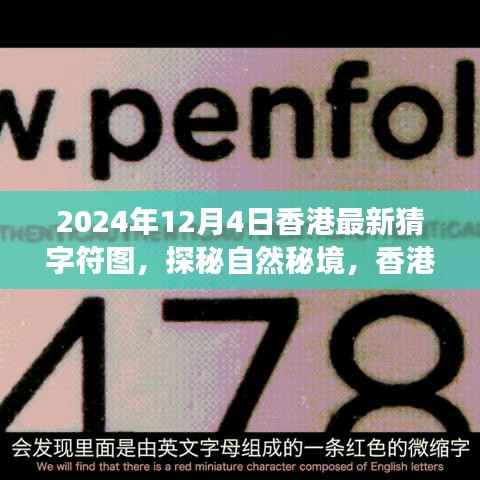 香港猜字符图之旅,探秘自然秘境,寻找内心的宁静与平和(2024年12月4日最新)