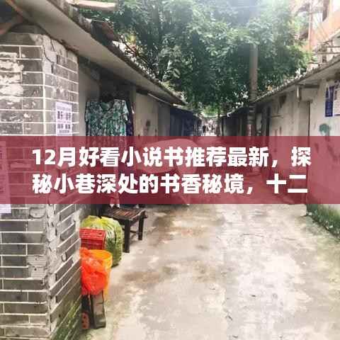 探秘小巷深处的书香秘境,十二月最新好书推荐与特色书店大揭秘