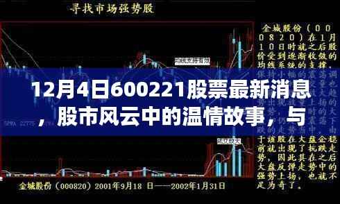 股市风云中的温情故事,揭秘与600221股票的不解之缘的最新消息