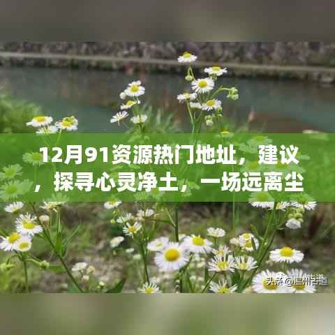 十二月心灵净土探寻,热门资源与自然之旅的净土体验