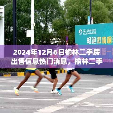 榆林二手房市场掀起热潮,最新出售信息深度解析与热门消息速递(2024年12月6日)