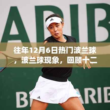 回顾十二月六日的波兰球热潮,历史影响与现象深度解析