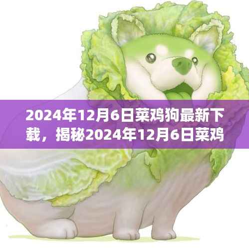揭秘,2024年12月6日菜鸡狗游戏最新下载动态解析