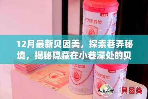 揭秘贝因美巷弄秘境,十二月特色小店探索之旅