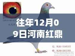 一往无前 第3页