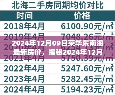 2024年12月09日荣华东南海房价揭秘,风情小店背后的房价真相