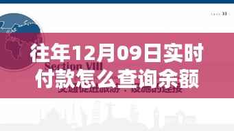 揭秘最新科技重塑支付体验,如何轻松查询十二月九日实时付款余额,未来触手可及!