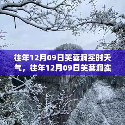 往年12月09日芙蓉洞实时天气探索,与自然的邂逅之旅