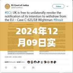 关于2024年12月9日实时投票活动的官方通知与范文模板发布