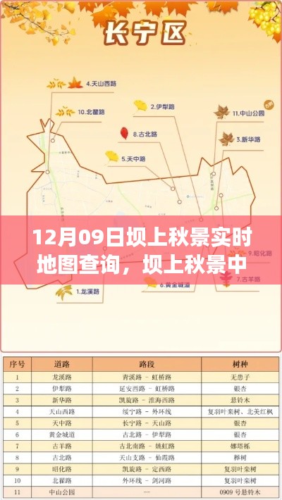 坝上秋景实时地图查询之旅,自信与成长的励志之旅