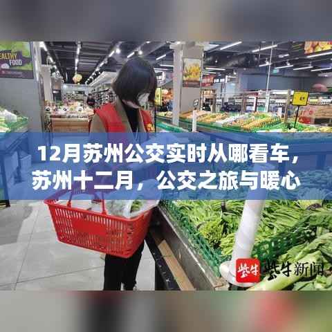 苏州十二月公交之旅,实时探秘暖心公交之旅