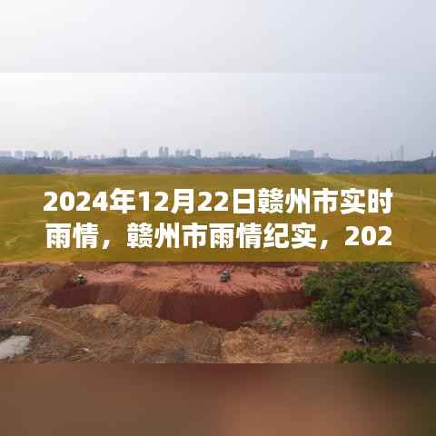 赣州市冬至之日的雨情纪实,雨幕下的回响与实时雨情报告