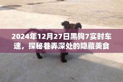 探秘巷弄深处美食,黑狗7车速奇妙小铺的隐藏菜单之旅