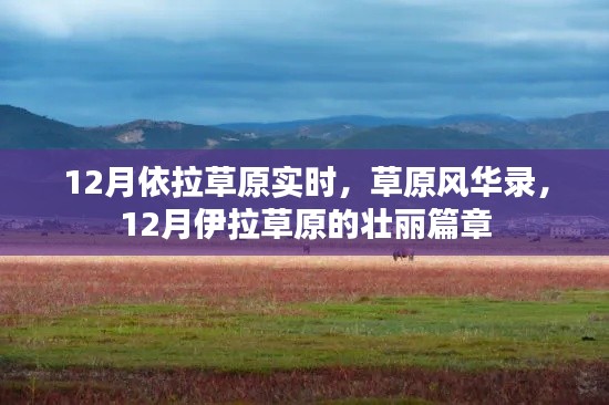 12月伊拉草原壮丽风华录,草原实时壮丽篇章