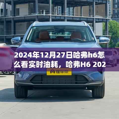 哈弗H6 2024款实时油耗监测系统深度体验与评测,实时油耗查看详解