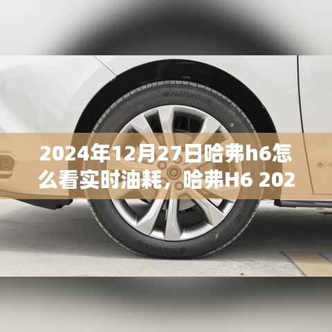 哈弗H6 2024款实时油耗监测系统深度体验与评测,实时油耗查看详解