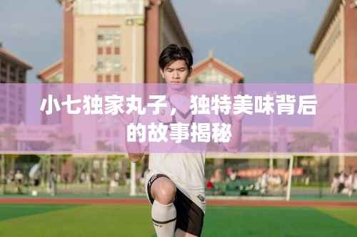 小七独家丸子,独特美味背后的故事揭秘