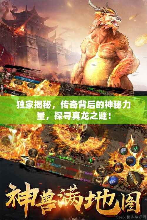 关于我们 第207页