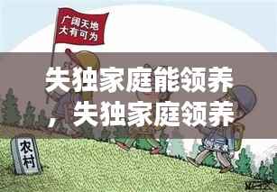 失独家庭能领养,失独家庭领养孩子政策