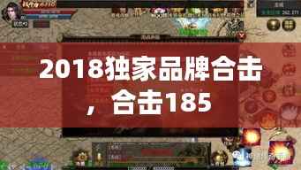 2018独家品牌合击,合击185
