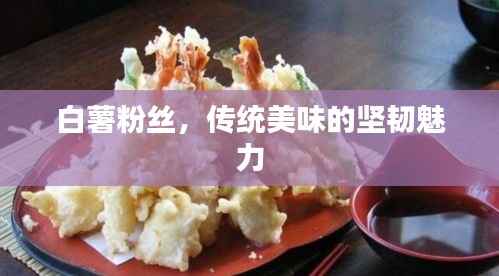 白薯粉丝,传统美味的坚韧魅力