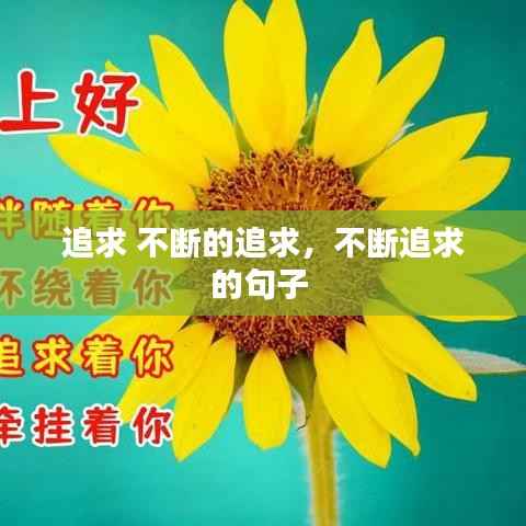 追求 不断的追求,不断追求的句子