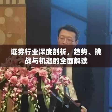 证券行业深度剖析,趋势、挑战与机遇的全面解读