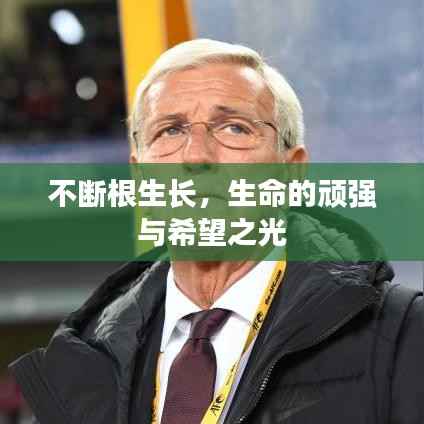 不断根生长,生命的顽强与希望之光