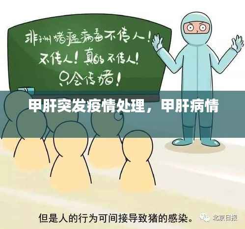 甲肝突发疫情处理，甲肝病情 