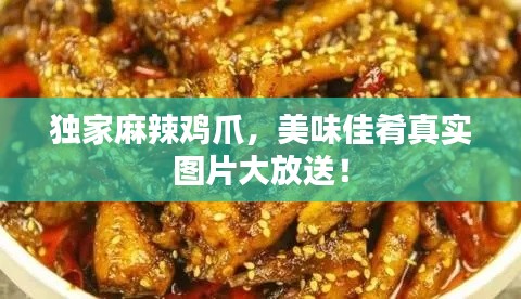 独家麻辣鸡爪,美味佳肴真实图片大放送!