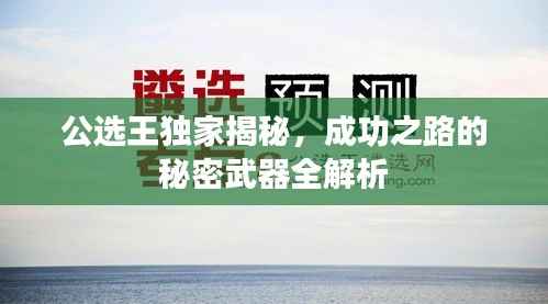 公选王独家揭秘,成功之路的秘密武器全解析