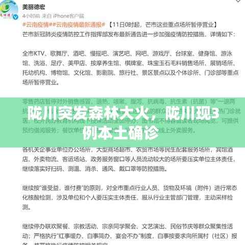 不飞则已 第2页