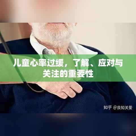 儿童心率过缓,了解、应对与关注的重要性
