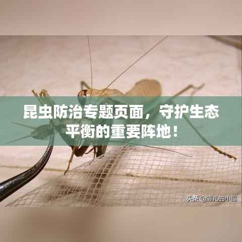 漫不经心 第2页