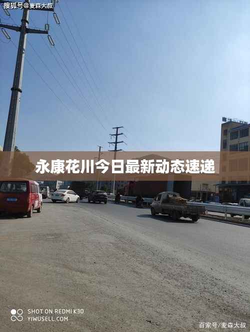 永康花川今日最新动态速递