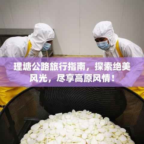 理塘公路旅行指南，探索绝美风光，尽享高原风情！