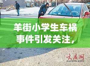 羊街小学生车祸事件引发关注，呼吁社会共同守护儿童安全