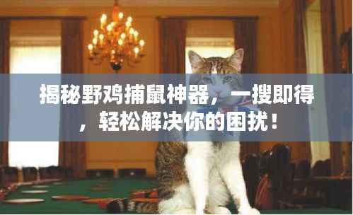 揭秘野鸡捕鼠神器，一搜即得，轻松解决你的困扰！