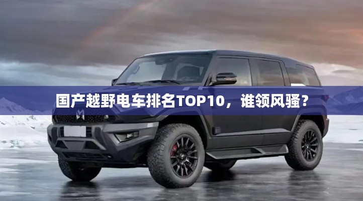 国产越野电车排名TOP10,谁领风骚?