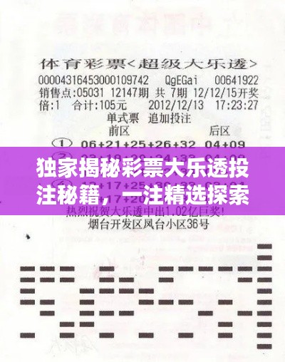 独家揭秘彩票大乐透投注秘籍，一注精选探索中奖奥秘！
