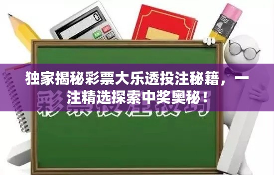 独家揭秘彩票大乐透投注秘籍,一注精选探索中奖奥秘!