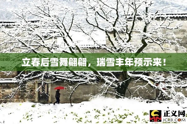 立春后雪舞翩翩,瑞雪丰年预示来!