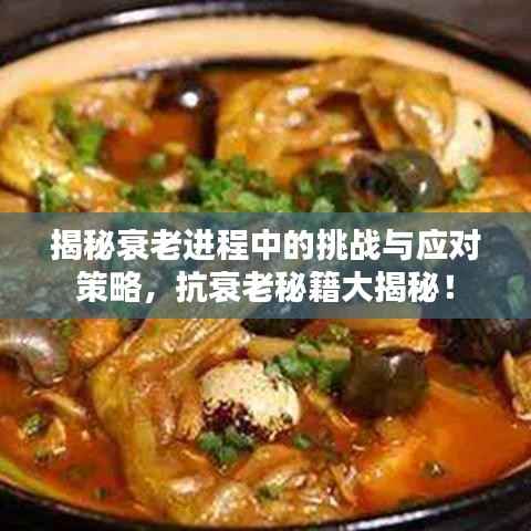 揭秘衰老进程中的挑战与应对策略，抗衰老秘籍大揭秘！