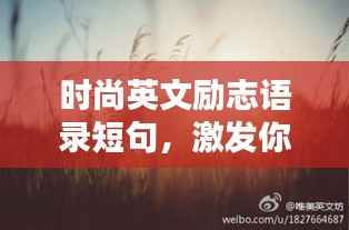 时尚英文励志语录短句,激发你向上的力量