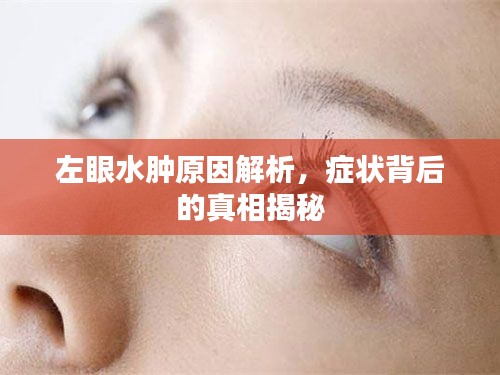 左眼水肿原因解析,症状背后的真相揭秘